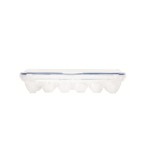 Lock & Lock 12 Egg Container
