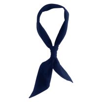 Banks Necktie Navy 
