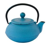 Eetrite Cast Iron Teapot  Turquoise  600ml