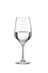 Vicrila Elytium Platine Wine Glass 440ml